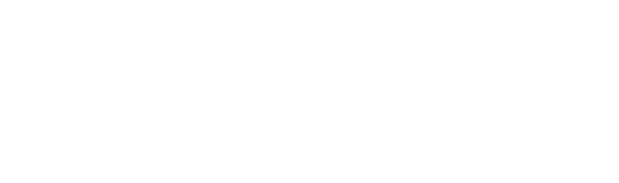 Cammino Insights