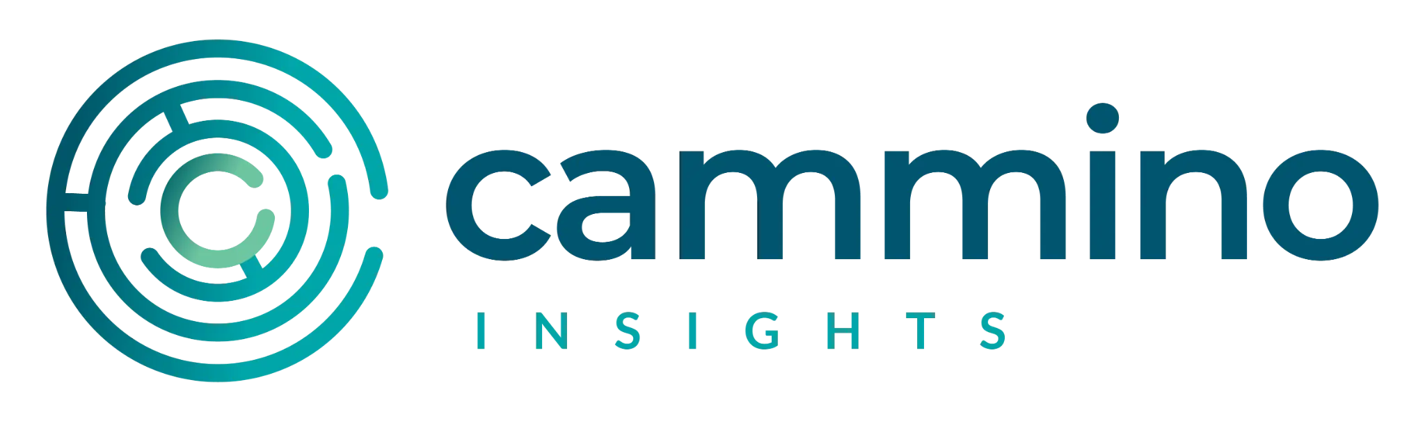 Cammino Insights